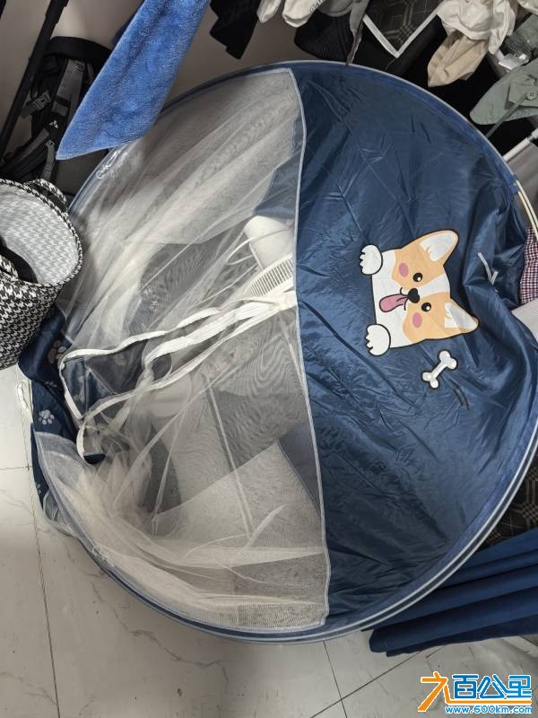 wechat_upload1770904560698ddbf0b5267