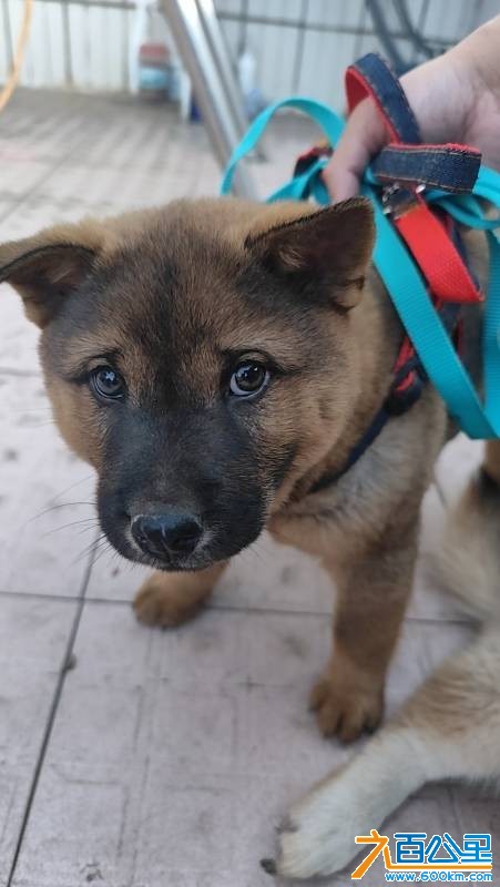 wechat_upload177229004869a30000b51f8