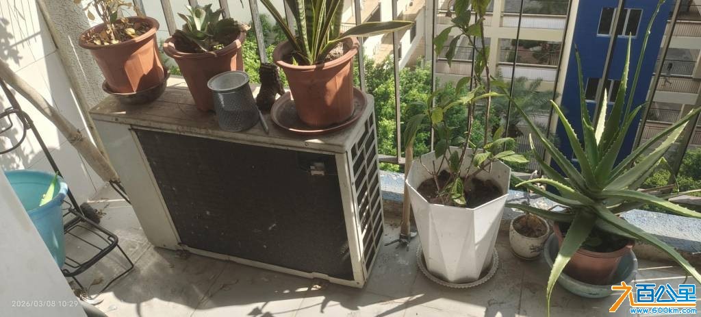 wechat_upload177294616769ad02f7adcc5