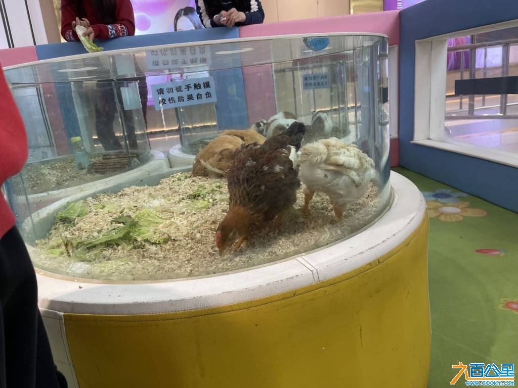 wechat_upload177346018269b4dad69da85