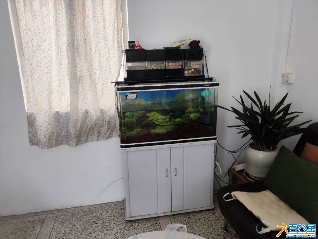 wechat_upload177468819869c797c63f31f