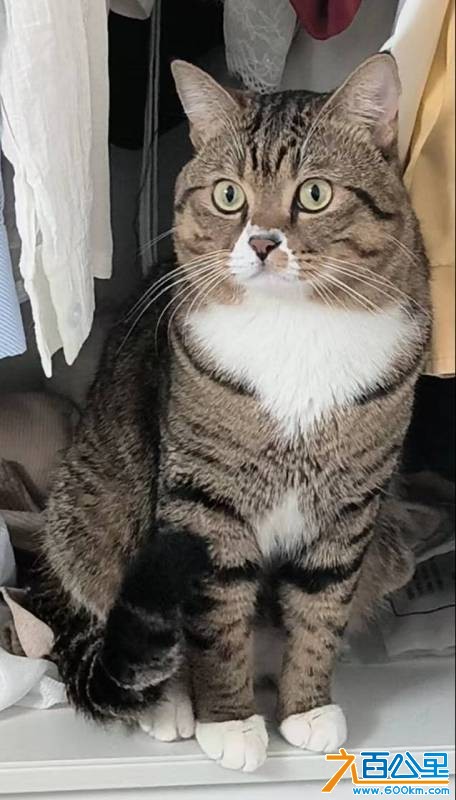 wechat_upload177565433769d655c15f814