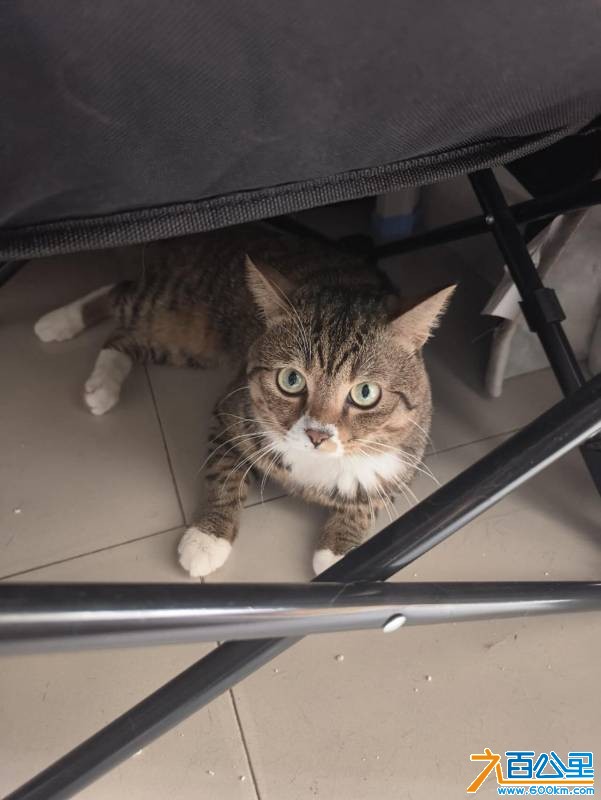 wechat_upload177565436069d655d89714d