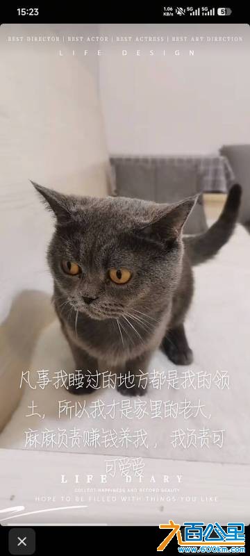 wechat_upload177684277869e8781a89f08