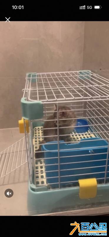 wechat_upload177690974769e97db36c05e