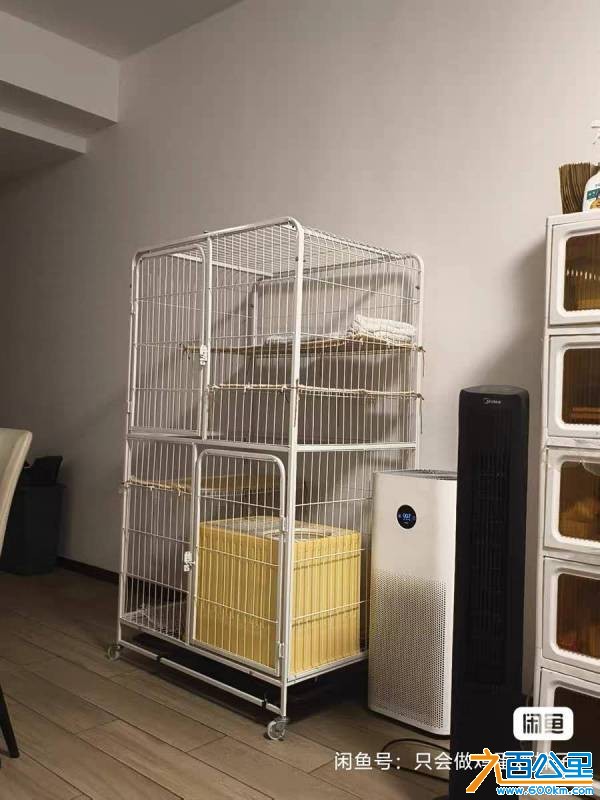 wechat_upload177710824169ec851184c8a