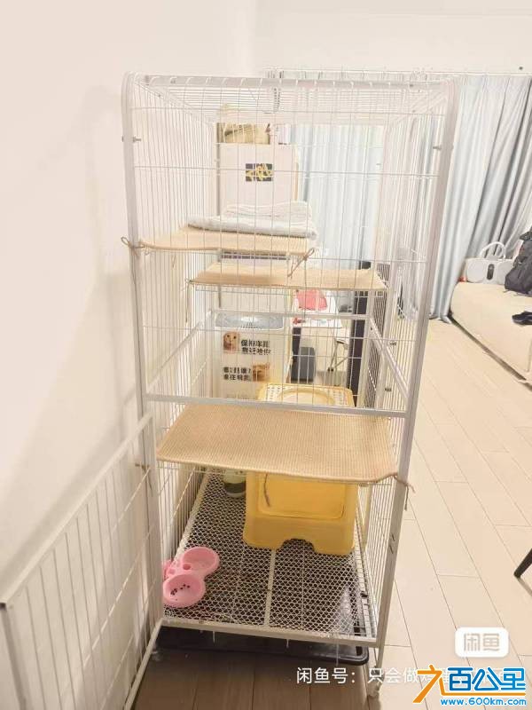 wechat_upload177710824369ec8513154dc