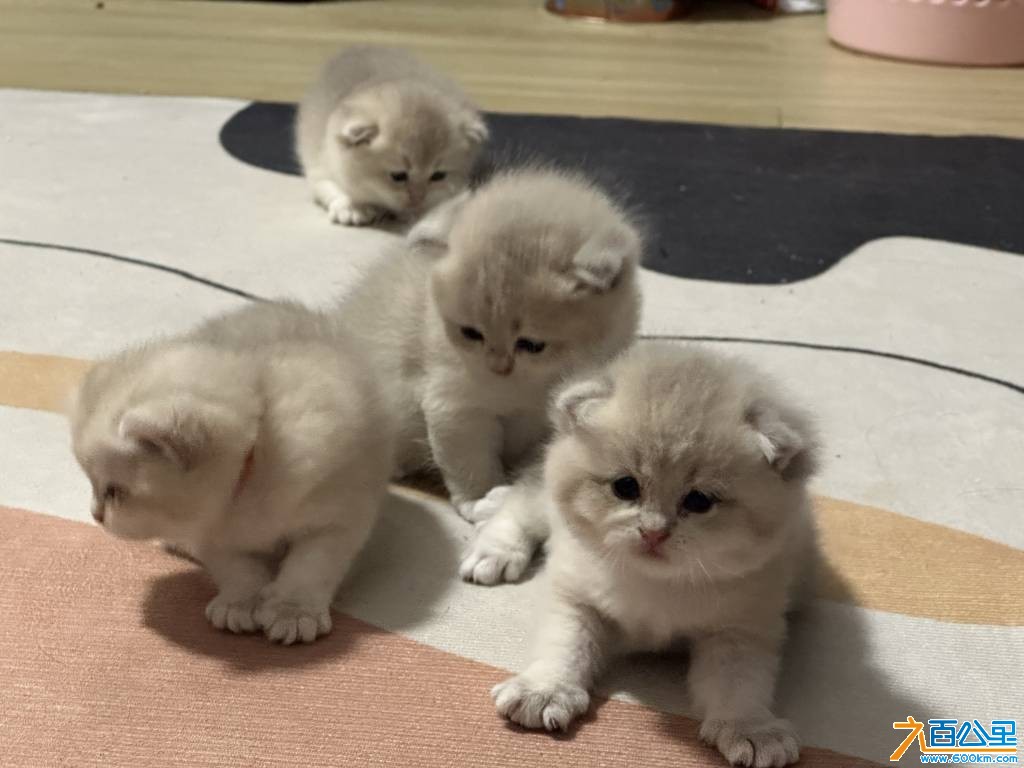 wechat_upload17814843216a2f4b21aaa6c