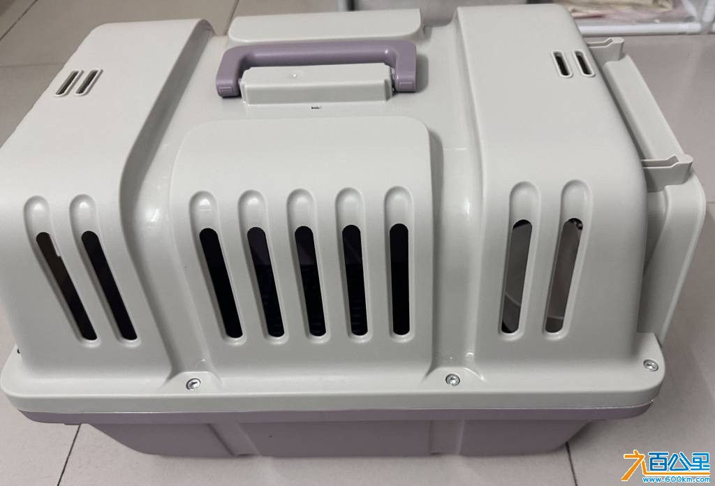 出一个全新宠物航空箱