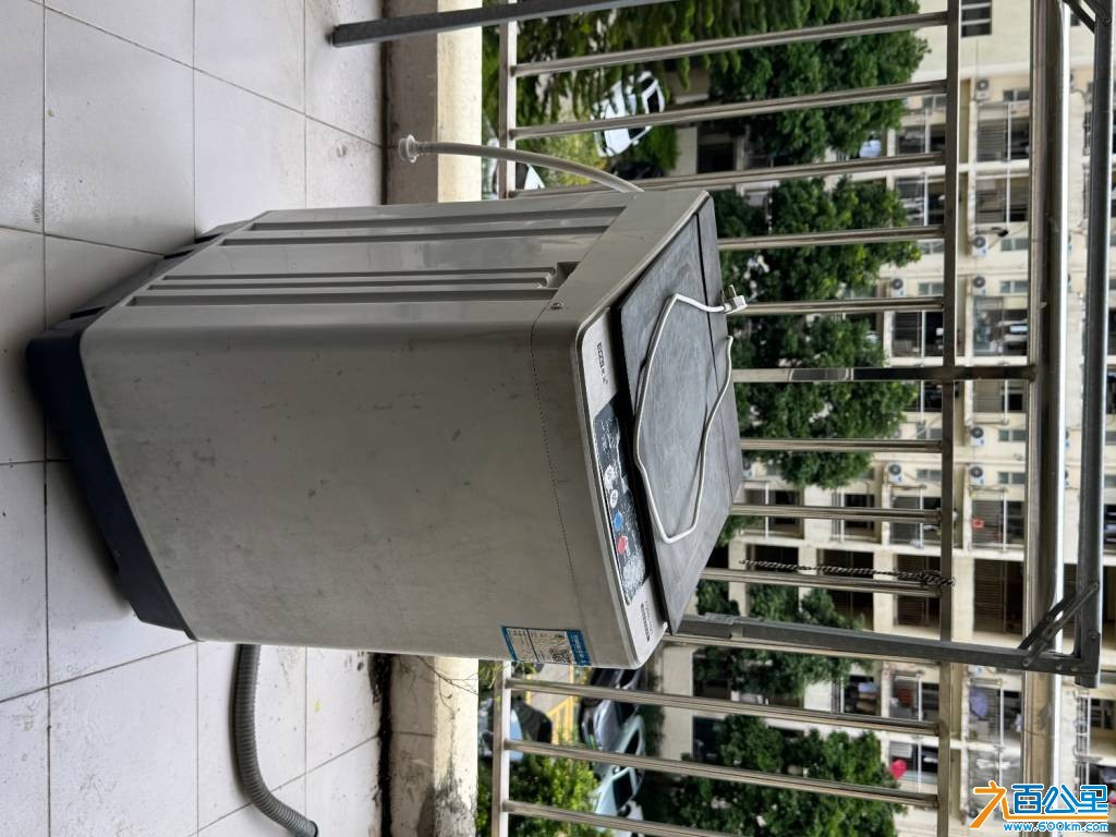 IMG_0704.jpeg