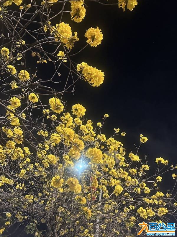 wechat_upload1771999026699e8f327f2a1