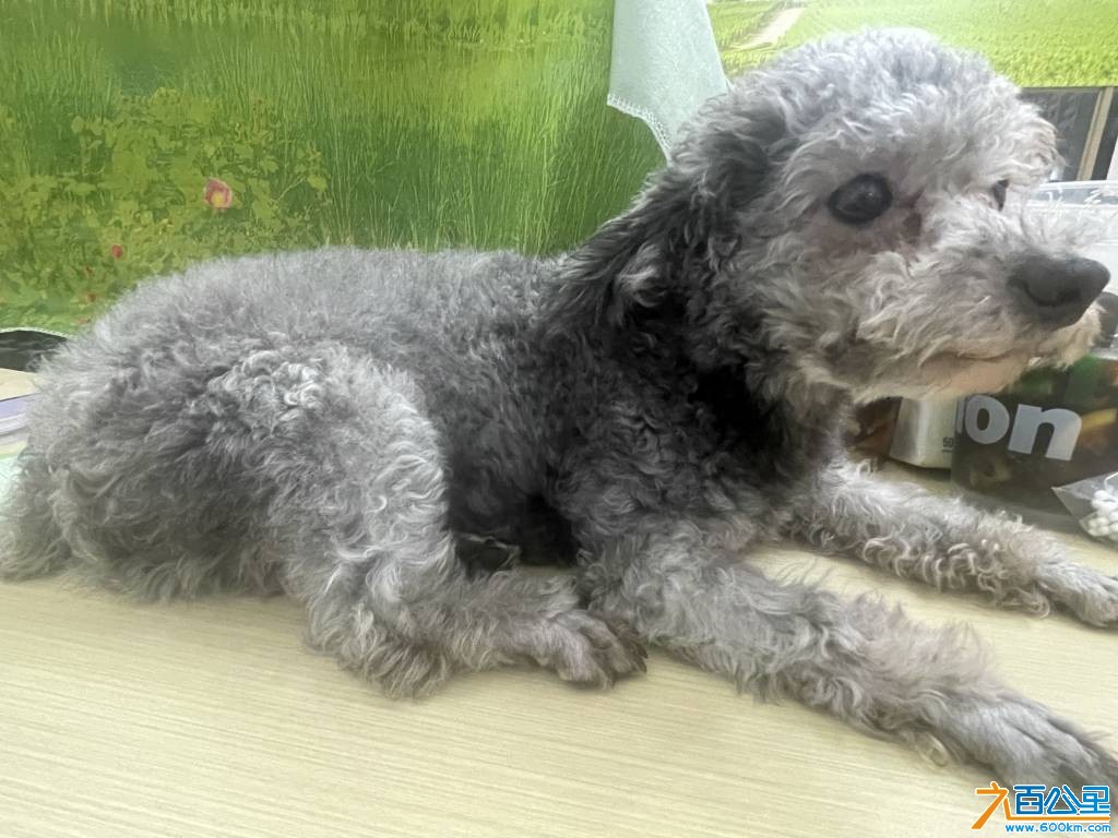 wechat_upload177211042369a0425738269